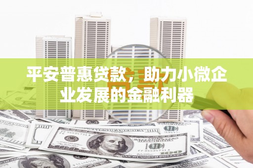 西塞山平安普惠贷款，助力小微企业发展的金融利器