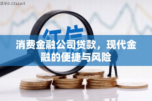 西塞山消费金融公司贷款，现代金融的便捷与风险