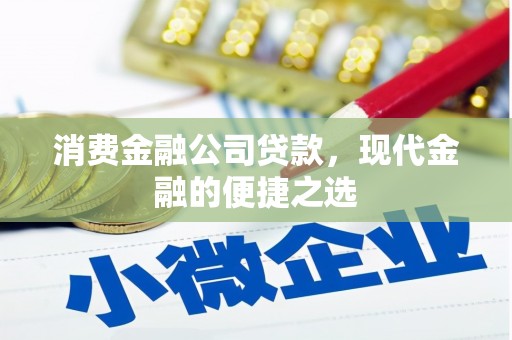 西塞山消费金融公司贷款，现代金融的便捷之选