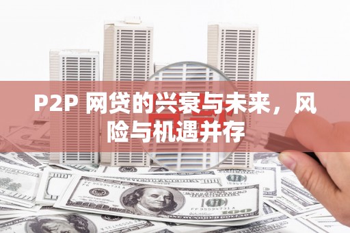 西塞山P2P 网贷的兴衰与未来，风险与机遇并存