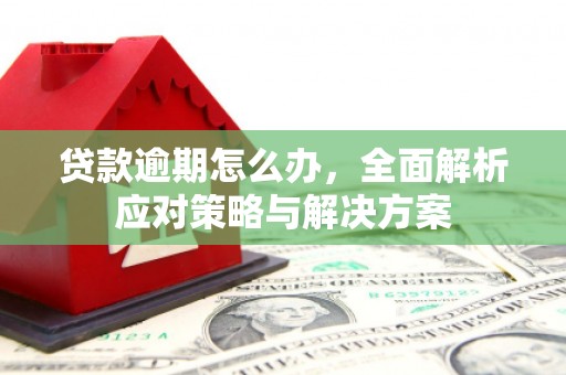 西塞山贷款逾期怎么办，全面解析应对策略与解决方案