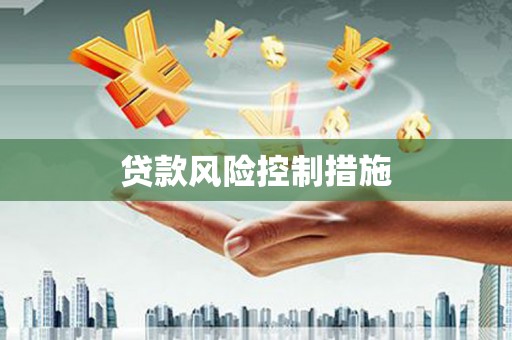 西塞山贷款风险控制措施