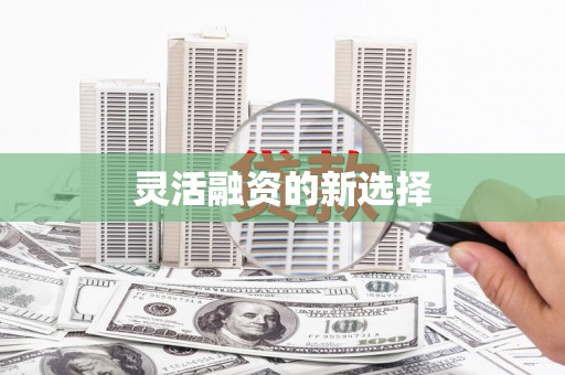 西塞山灵活融资的新选择
