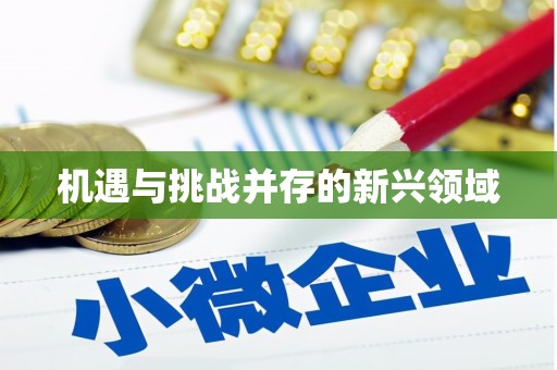 西塞山机遇与挑战并存的新兴领域