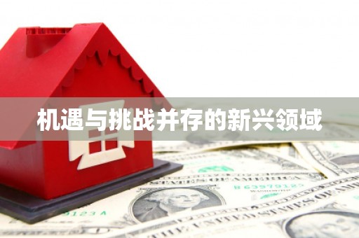 西塞山机遇与挑战并存的新兴领域