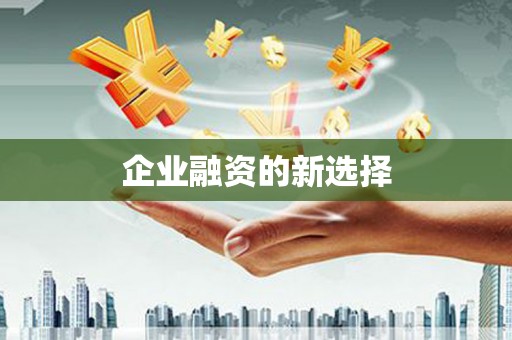 西塞山企业融资的新选择