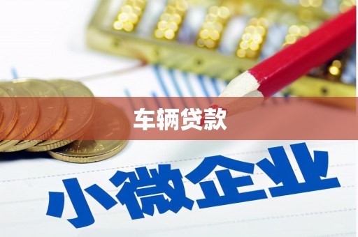 西塞山车辆贷款